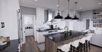 Shady Oak House Plan