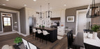 Pineview House Plan